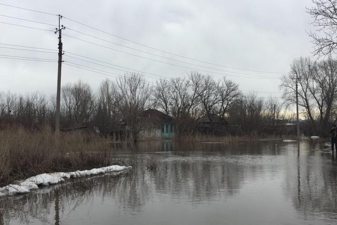 Стой, Маховка (+фото)