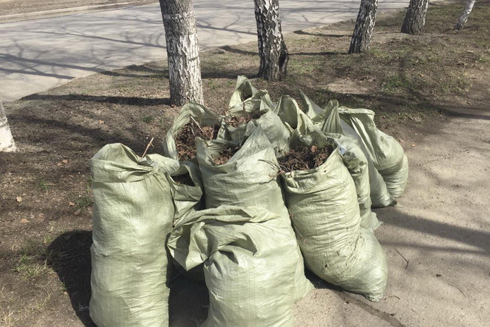 Уборка после зимы