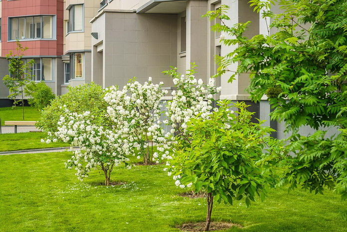 Кольцово: ваша комфортная жизнь - PR