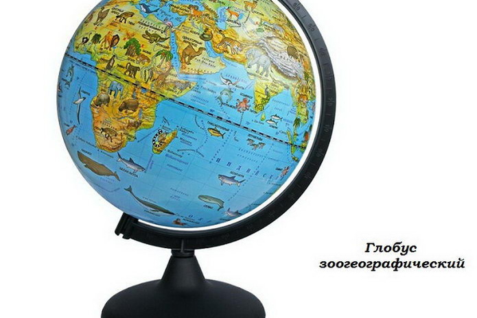 В школу без нервов! - PR