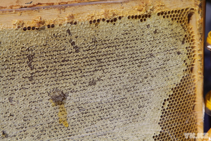 Нужно возрождать (+фото)