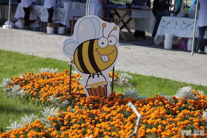 Нужно возрождать (+фото)