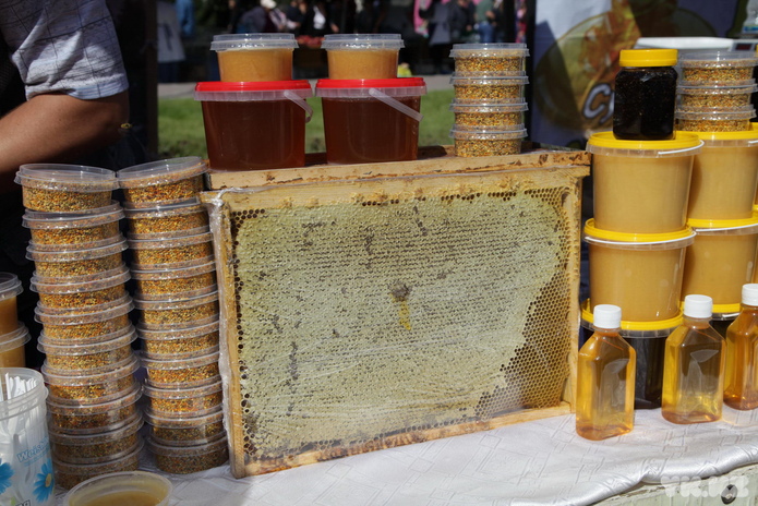 Нужно возрождать (+фото)