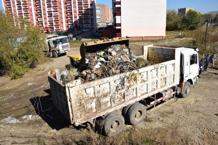 Вывозят тоннами