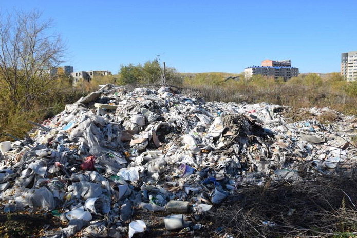 Вывозят тоннами