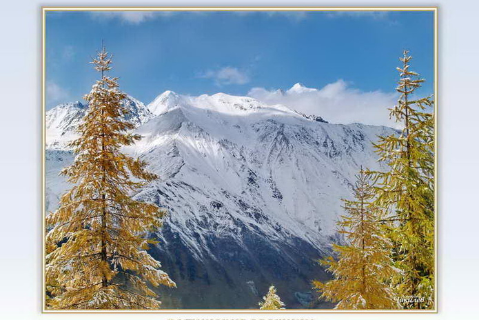 Заглянуть за туманы