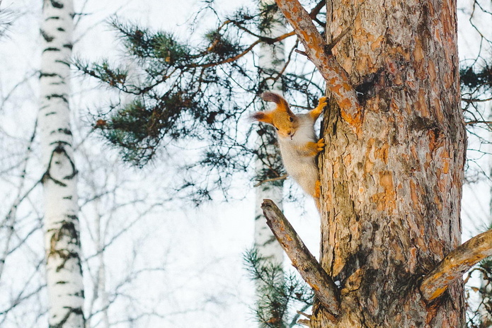Квартира в Кольцово: городской уют, чистый воздух - PR