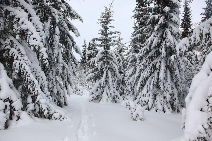 С чем ассоциируется Новый Год? - PR