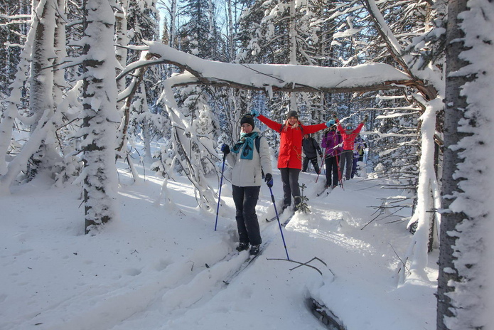 С чем ассоциируется Новый Год? - PR