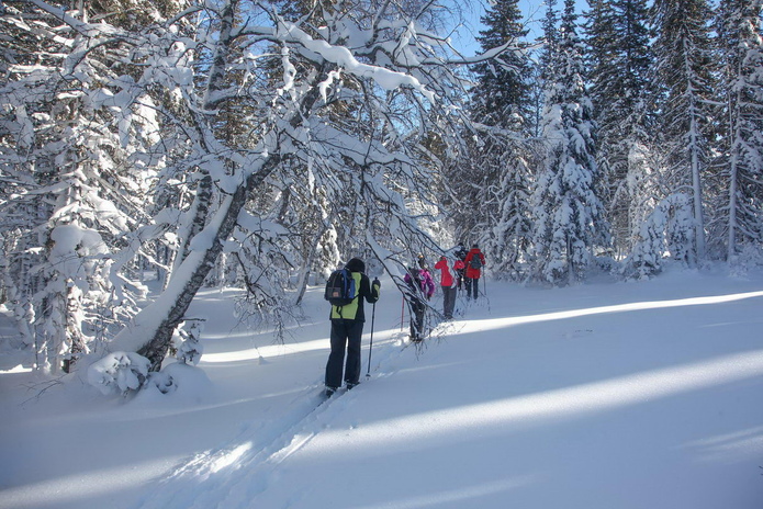 С чем ассоциируется Новый Год? - PR