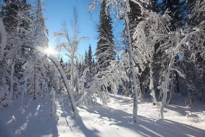С чем ассоциируется Новый Год? - PR