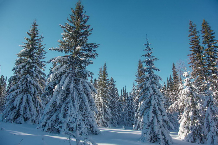 С чем ассоциируется Новый Год? - PR