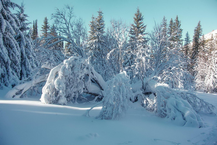 С чем ассоциируется Новый Год? - PR