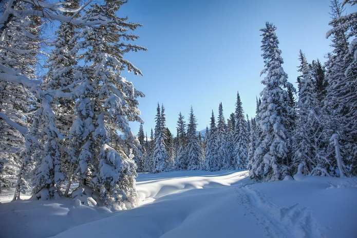 С чем ассоциируется Новый Год? - PR