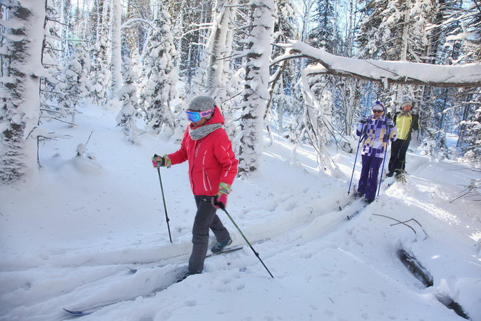С чем ассоциируется Новый Год? - PR
