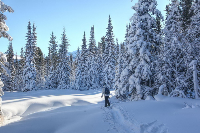 С чем ассоциируется Новый Год? - PR