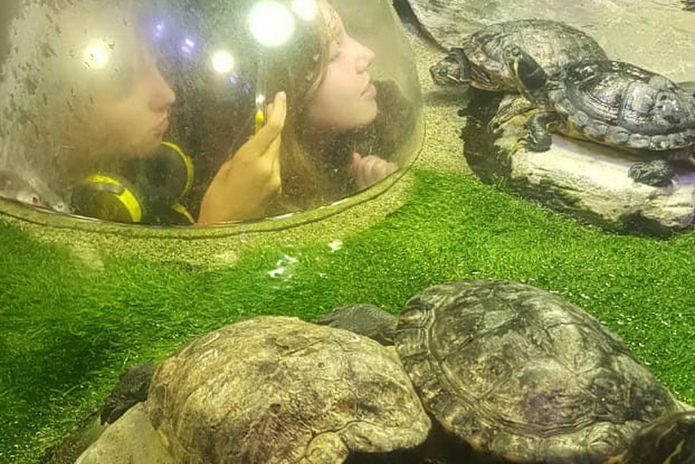 Junior summer school - PR