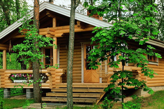 Защищаем дерево на улице - PR