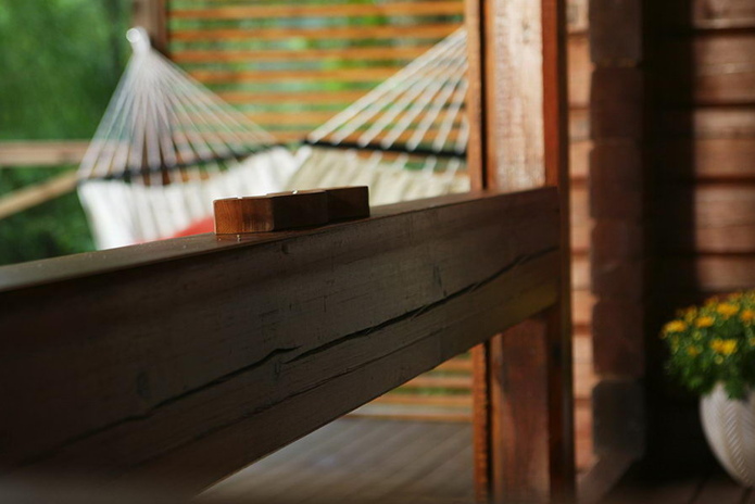 Защищаем дерево на улице - PR