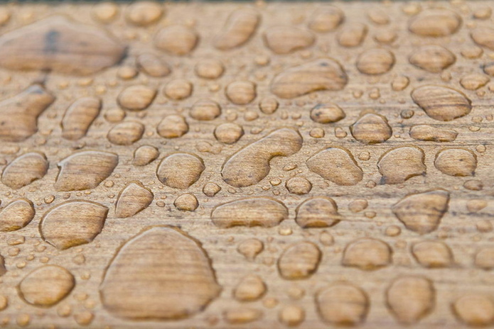 Защищаем дерево на улице - PR