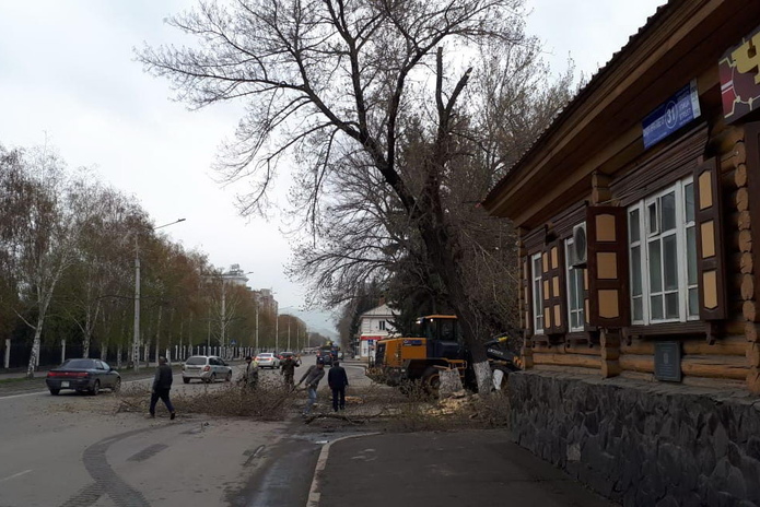 Сквера больше нет