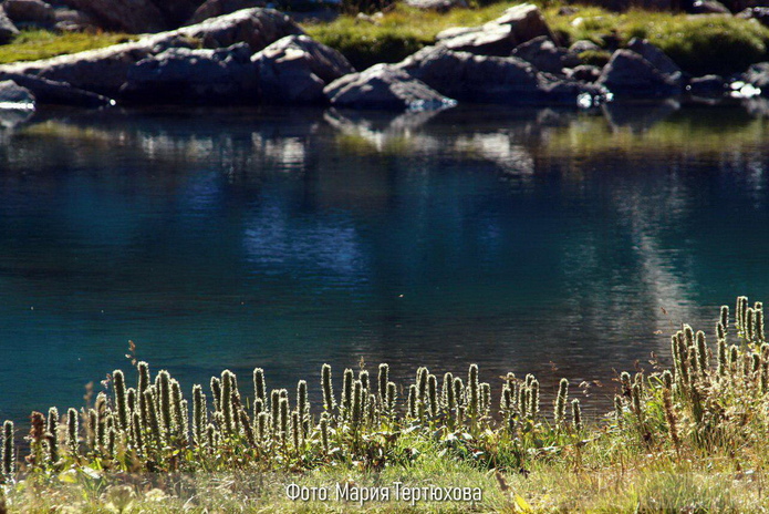 В горы? В горы! - PR
