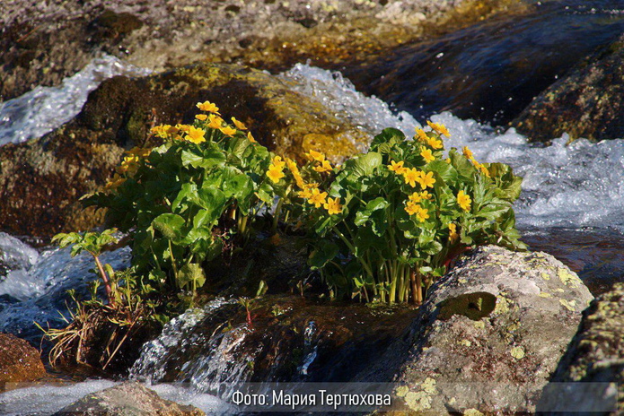 В горы? В горы! - PR