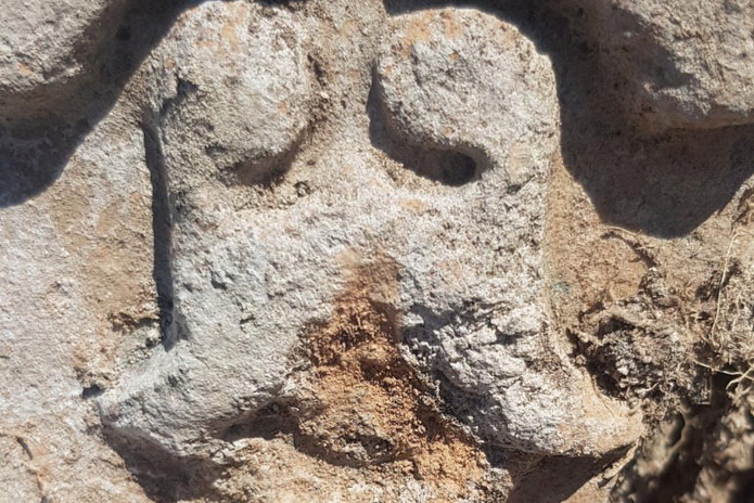 Монастырь с драконами