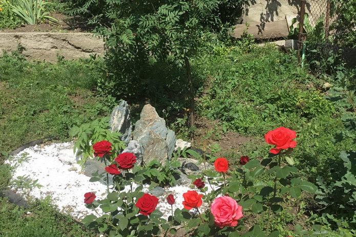 Пора на дачу - PR