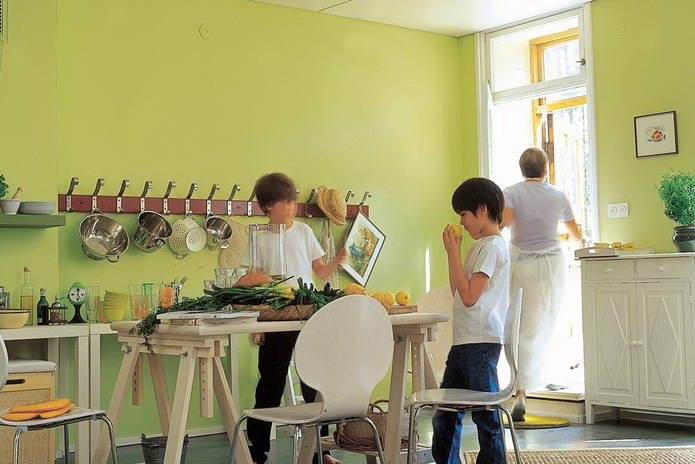 Euro Extra 20 - для окраски кухонь и ванных - PR