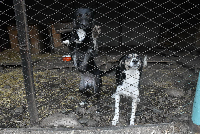 Я за гуманность, - Жаксылык Омар