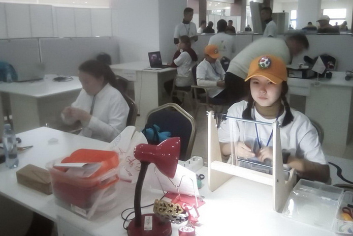 Профессионал своего дела