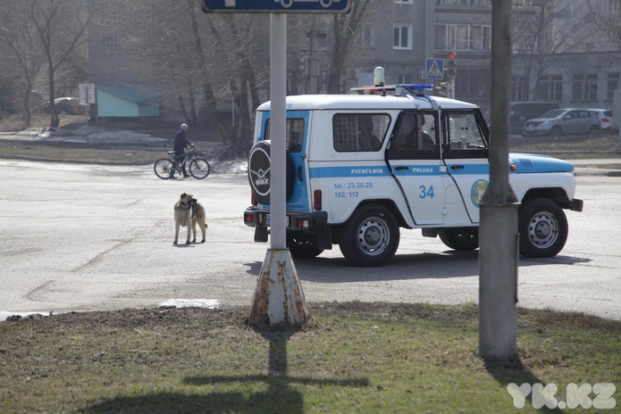 Пока все дома (+фото)