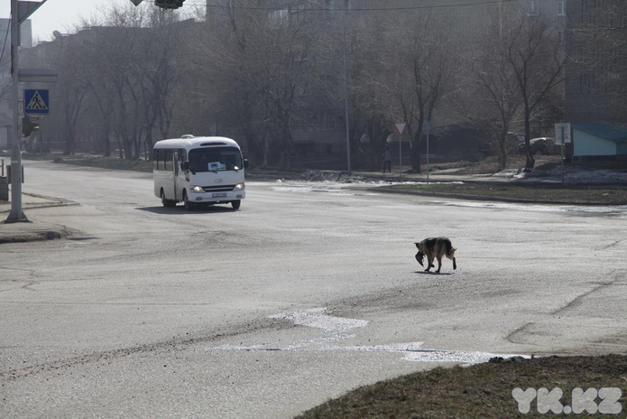 Пока все дома (+фото)