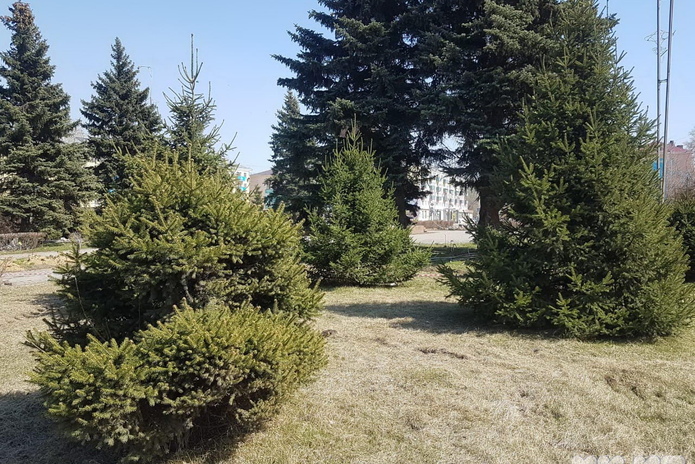 8 вместо 28