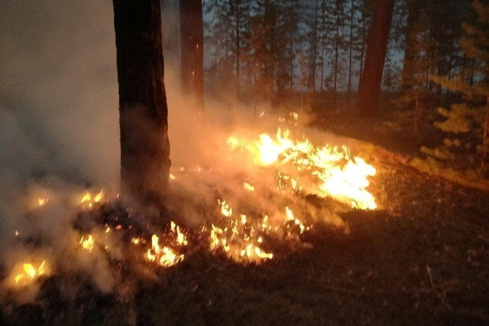 Тушили двое суток
