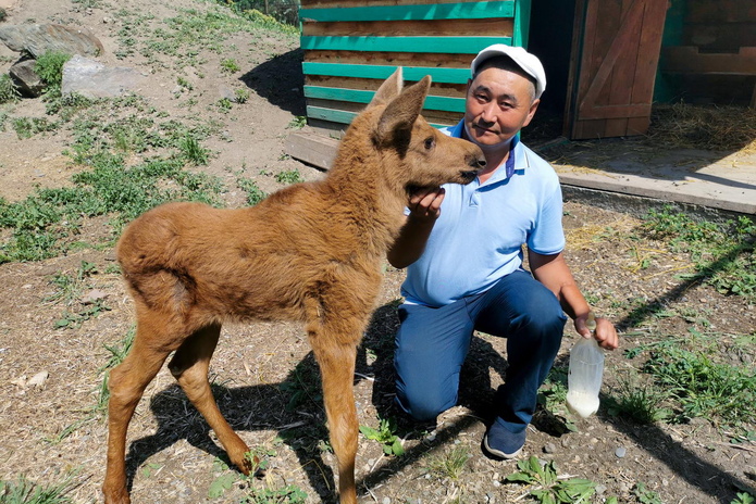 Малыш Умыш