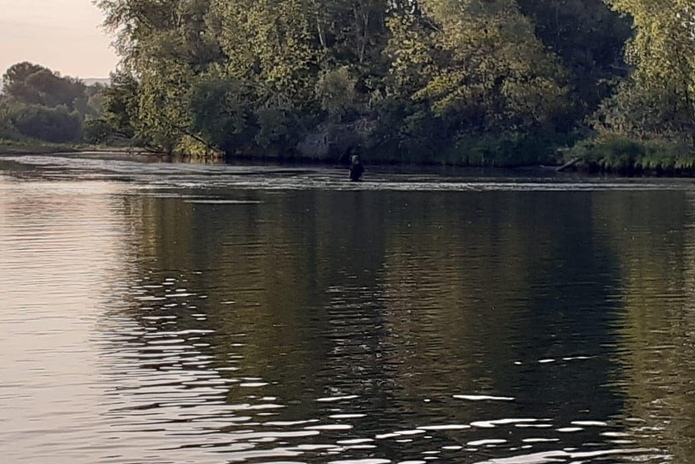 Вода поднялась