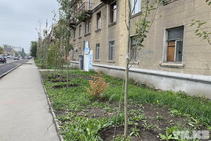 Почти готов