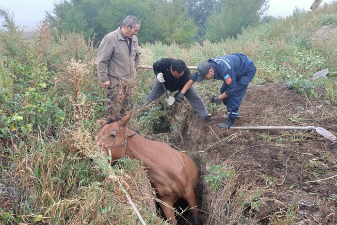Вытащили из траншеи