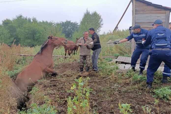 Вытащили из траншеи