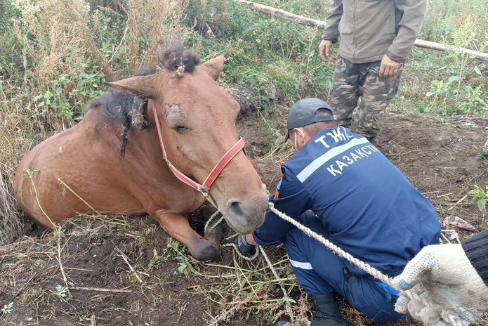 Вытащили из траншеи