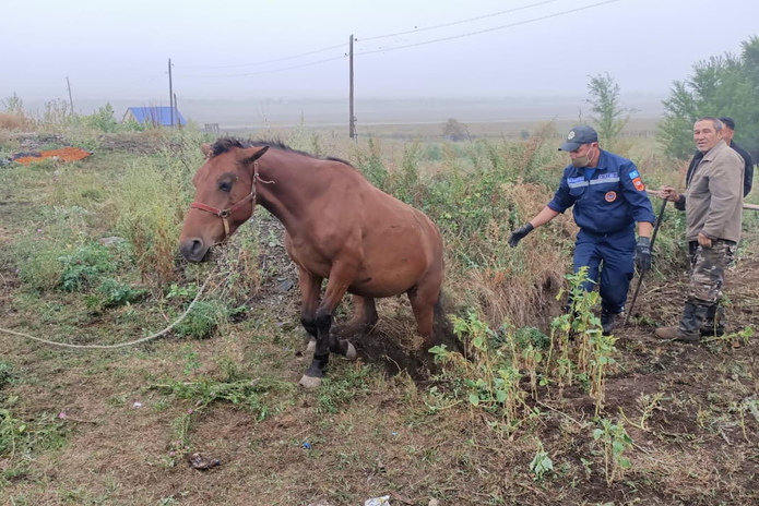 Вытащили из траншеи