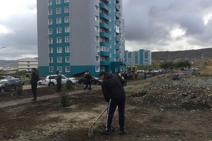 Дворы дождались
