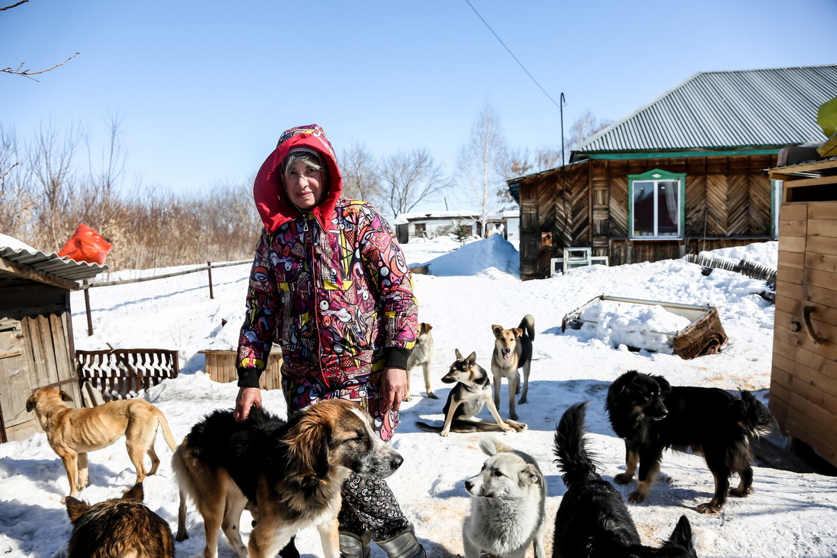 Усть-Каменогорск – Оскал судьбе: О том, как животные, которых выбрасывали с  пятого этажа, тянутся к людям