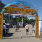 В Усть-Каменогорске проходит сельскохозяйственная ярмарка