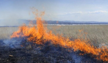 Возле любимого места отдыха устькаменогорцев – пожар на десятки гектаров