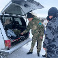 Перед Новым годом в ВКО штрафуют за хвойные ветки без документов