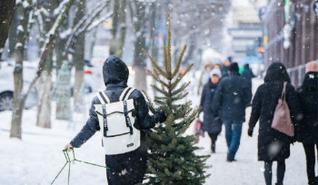 Новогодний фейерверк в Усть-Каменогорске будет сразу в четырех местах