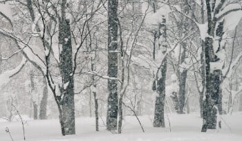 В Усть-Каменогорске ожидаются гололед и метель